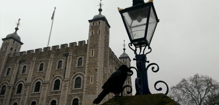 Resultado de imagen de cuervos de la torre de londres