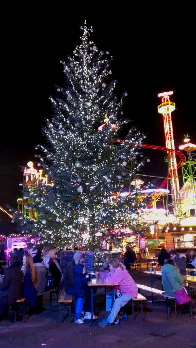 winter wonderland
