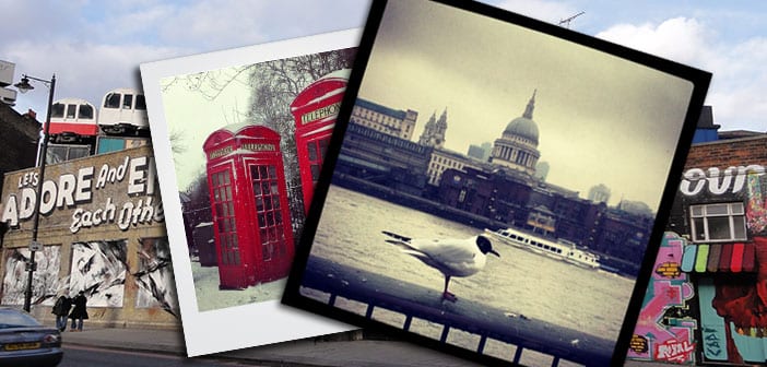 gaviotas_en_londres