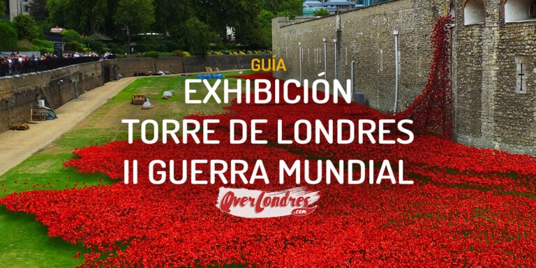 EXHIBICION TORRE DE LONDRES AMAPOLAS ROJAS GUERRA MUNDIAL