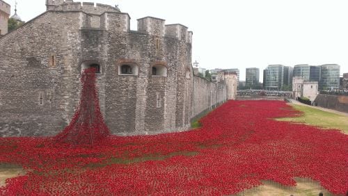 Torre de Londres Poppies