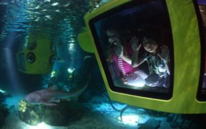 Atracciones Legoland Windsor