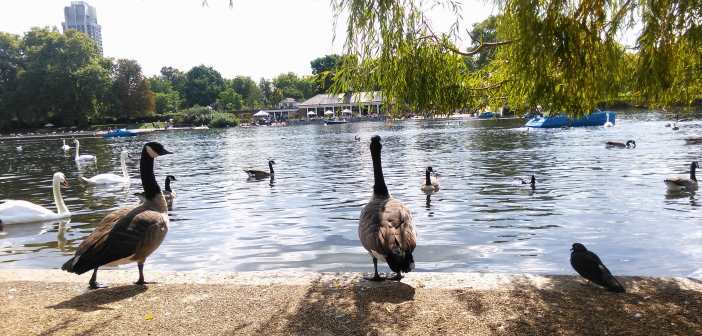 hyde park londres