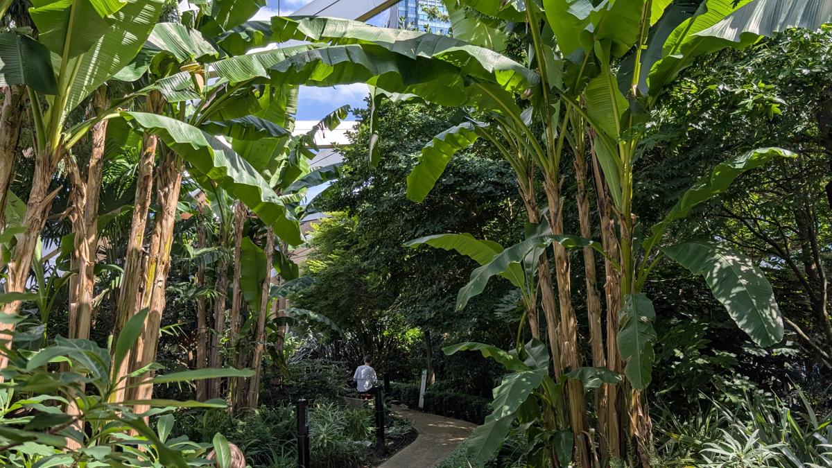 Canary Wharf Londres Crossrail Place Roof Garden