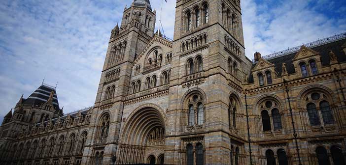 Museo Historia Natural de Londres