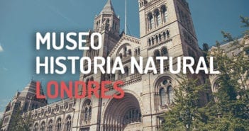 Museo de Historia Natural de Londres: Horarios, Precios y Guía Museo de Historia Natural Londres