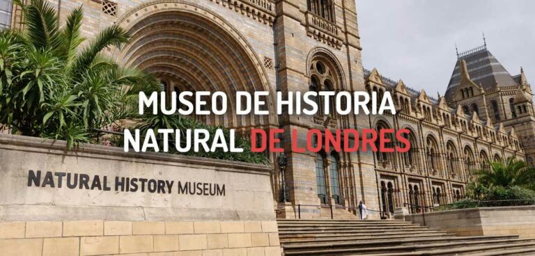 Visitar el Museo de Historia Natural de Londres