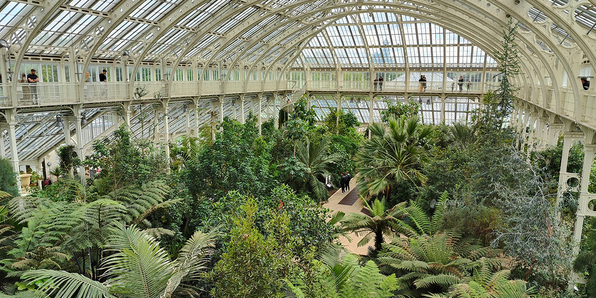 Kew Gardens interior Galería Jardines de Kew en Londres