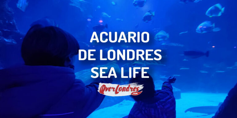 Entradas Acuario de Londres