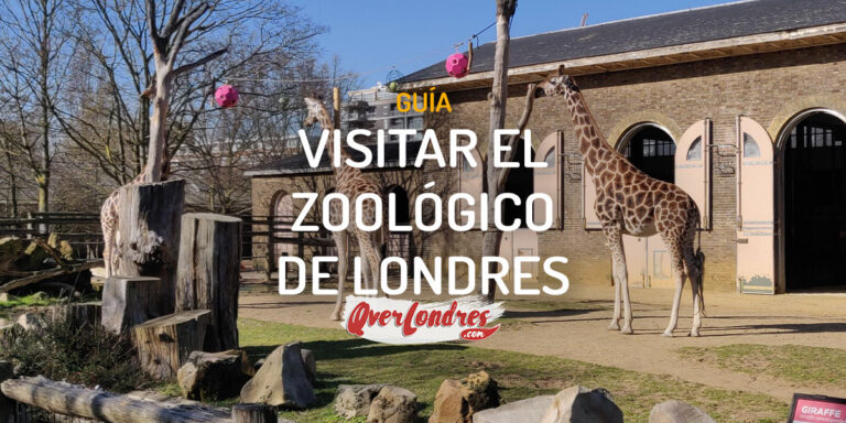 Visitar el Zoo de Londres