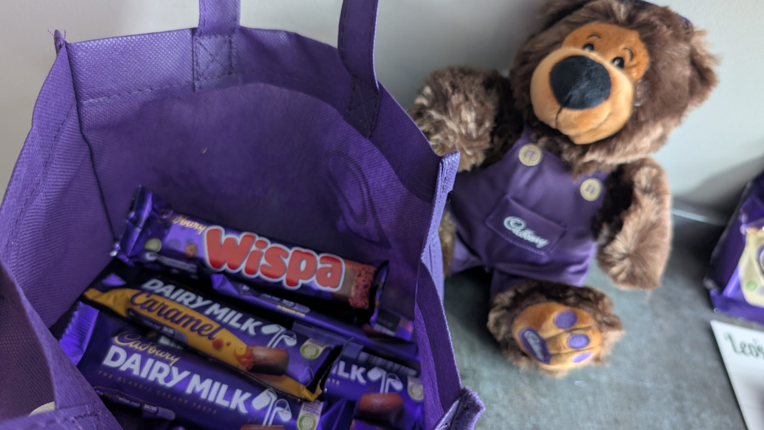 Cadbury World chocolate y peluche