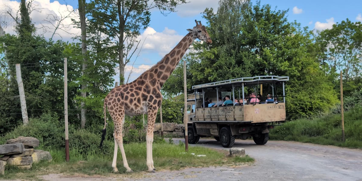 Chessington en Londres jirafas zufari