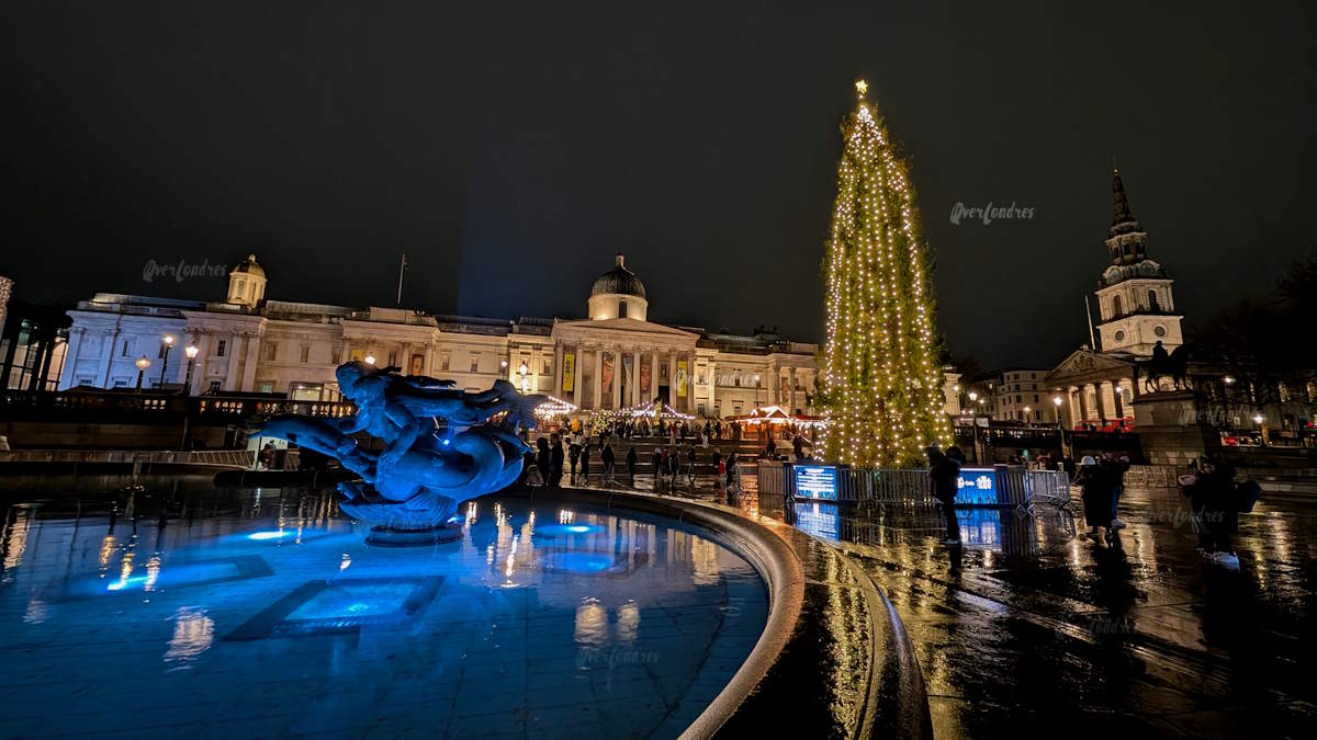 Luces Navidad en Londres - árbol de Navidad Trafalgar Square