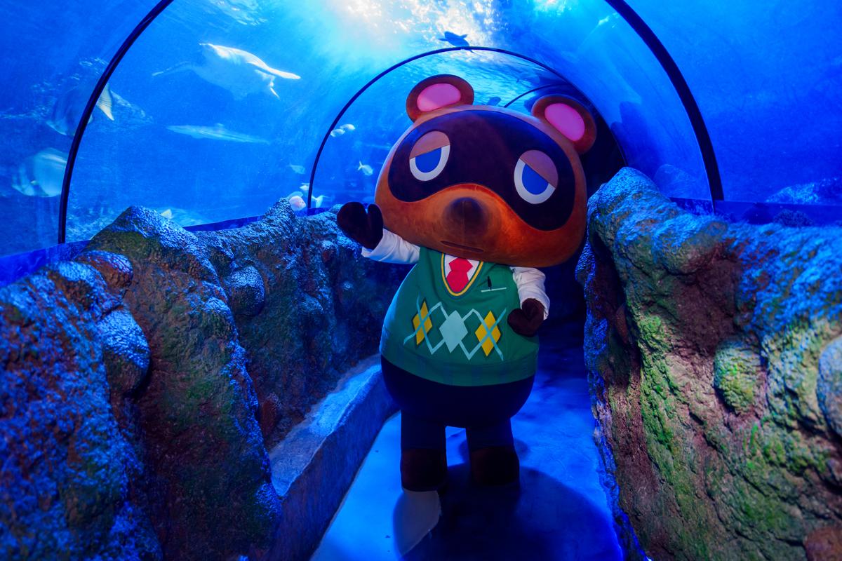 sea life londres animal crossing