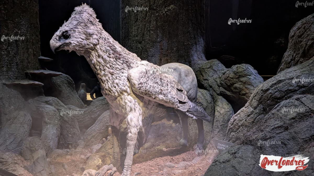 buckbeat en harry potter Londres