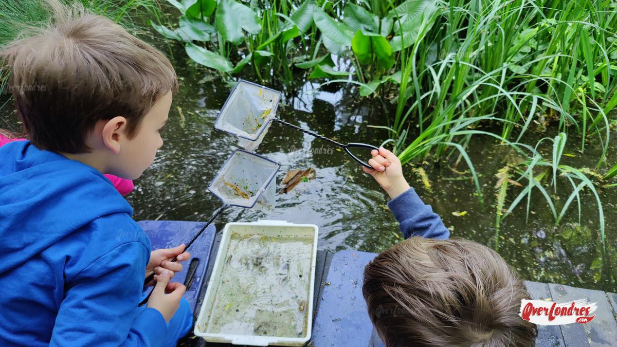 Camley Street Natural Park con niños