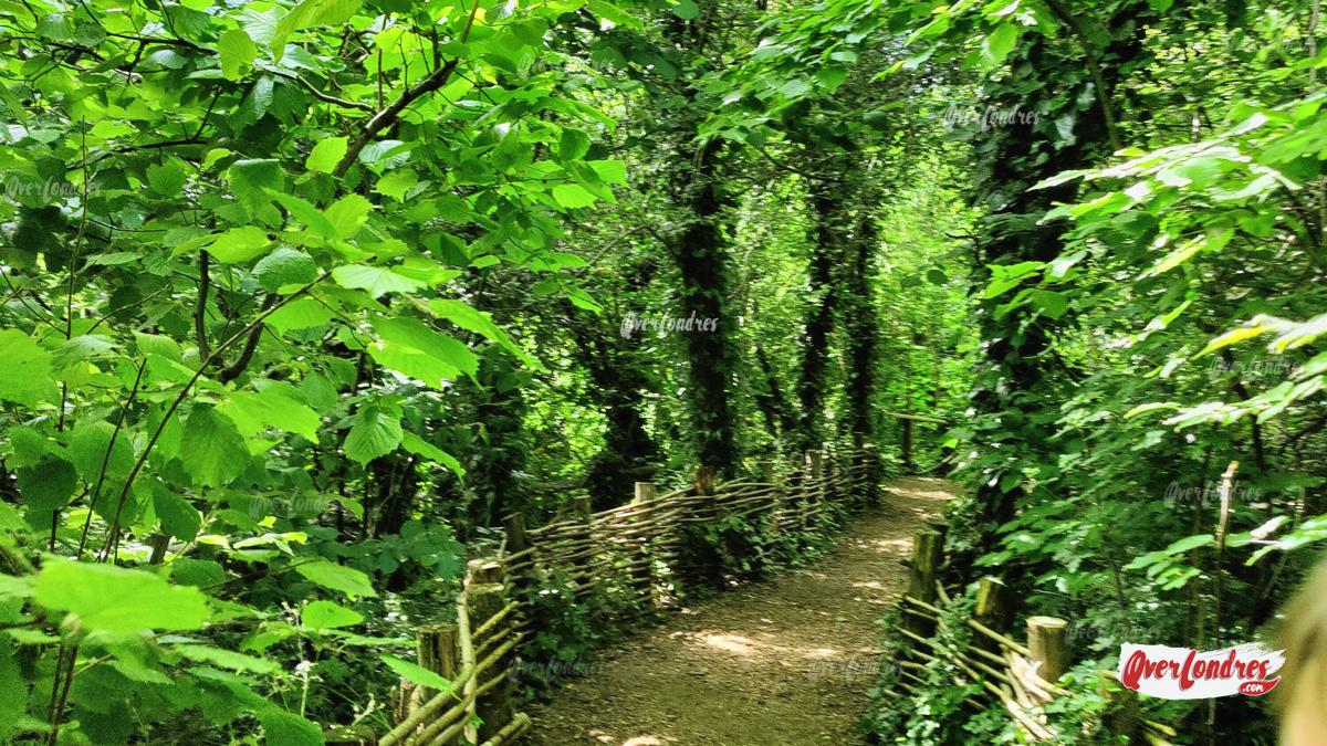 Camley Street Natural Park Londres